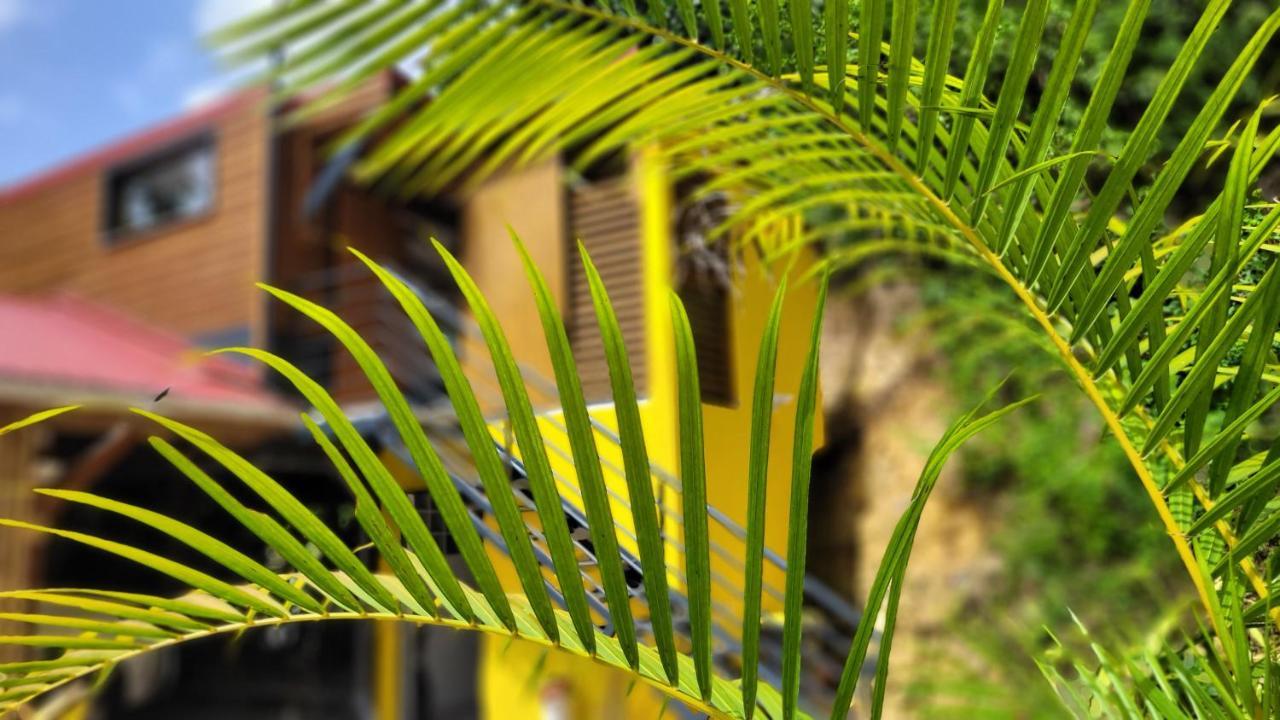 Kalinao - Bungalow Chic En Nature Les Abymes Extérieur photo